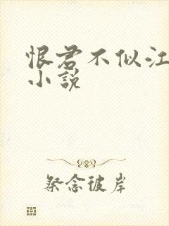 恨君不似江楼月小说