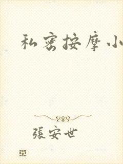 私密按摩小说