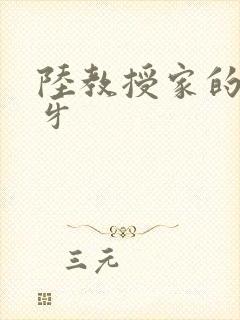 陆教授家的小月牙封面