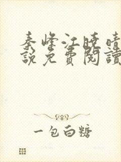 秦峰江晓晴的小说免费阅读封面