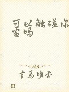 可以触碰你的深处吗封面