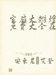 家庭大杂烩小说免费大全在线阅读封面