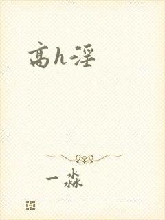 高h淫