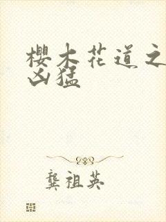 樱木花道之重生凶猛