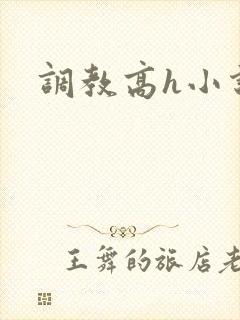 调教高h小说封面