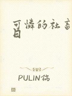 可怜的社畜东度日