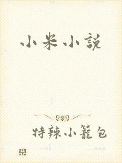 小米小说封面