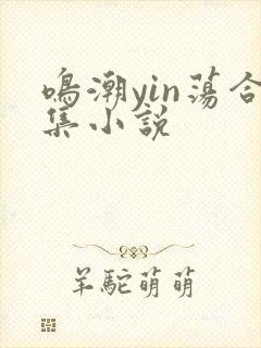 鸣潮yin荡合集小说
