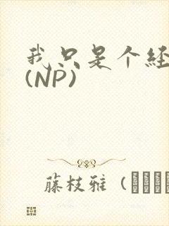 我只是个经纪人(NP)