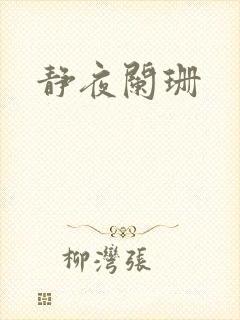 静夜阑珊封面