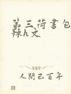 第三荷书包网高辣h文