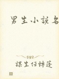 男生小说名字封面