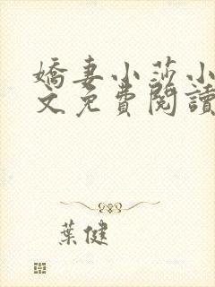 娇妻小莎小说全文免费阅读