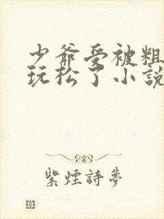 少爷受被粗汉H玩松了小说