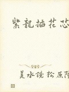 紫龙插花芯方正