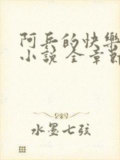 阿兵的快乐生活小说 全章节阅读免费