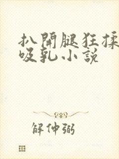 扒开腿狂揉大胸吸乳小说