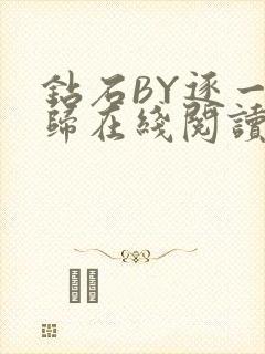 钻石BY逐一而归在线阅读