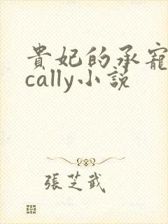 贵妃的承宠日常cally小说封面