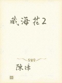 藏海花2封面