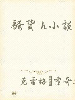 骚货 h小说封面