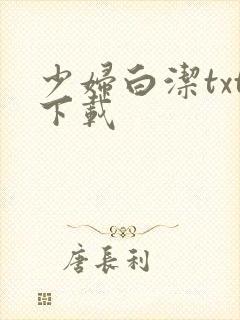 少妇白洁txt下载