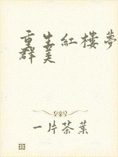 重生红楼梦之御群美