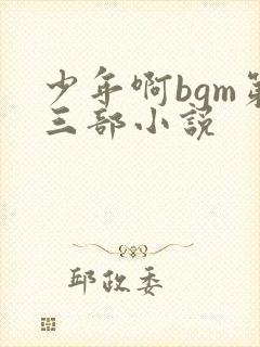 少年啊bgm第三部小说封面