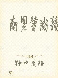 大团结小说笔趣阁免费阅读