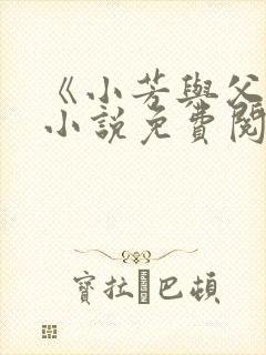 《小芳与父亲》小说免费阅读封面