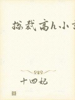 总裁高h小说封面