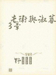 老卫与淑蓉第13章