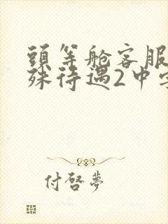 头等舱客服的特殊待遇2中字