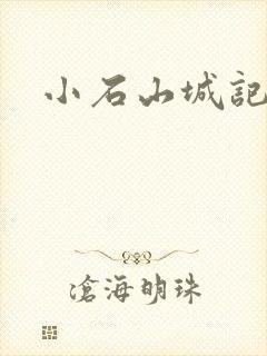 小石山城记