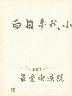 白日梦我小说