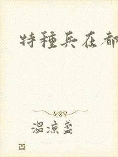 特种兵在都市