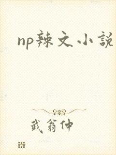 np辣文小说