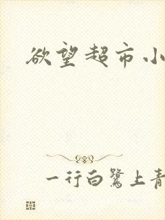 欲望超市小说