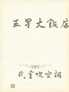 五星大饭店小说
