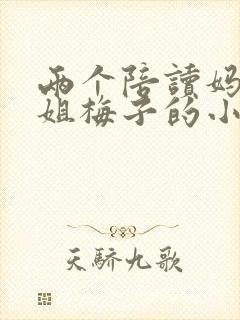 两个陪读妈妈赵姐梅子的小说