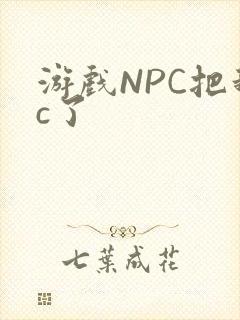 游戏NPC把我c了