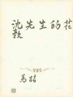 沈先生的花式调教