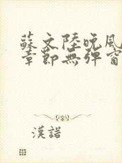 苏文陆晚风最新章节无弹窗笔趣阁