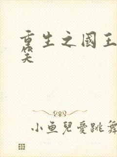 重生之国王的微笑