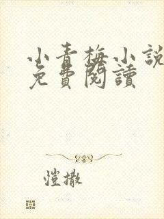 小青梅小说全文免费阅读封面