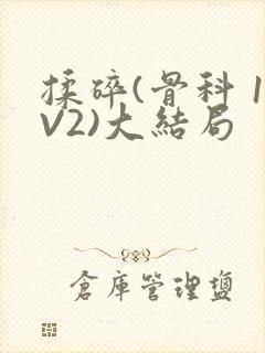 揉碎(骨科 1V2)大结局