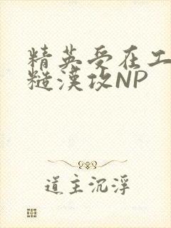 精英受在工地被糙汉攻NP封面
