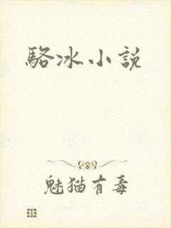骆冰小说