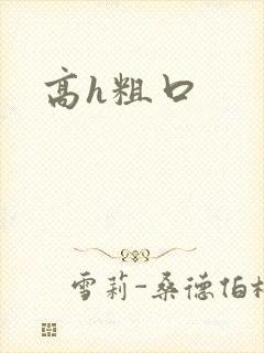 高h粗口