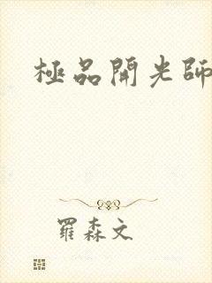 极品开光师封面